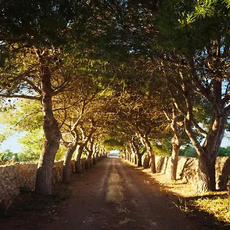 Villa S'hort Des Fasser Ciutadella (Menorca)